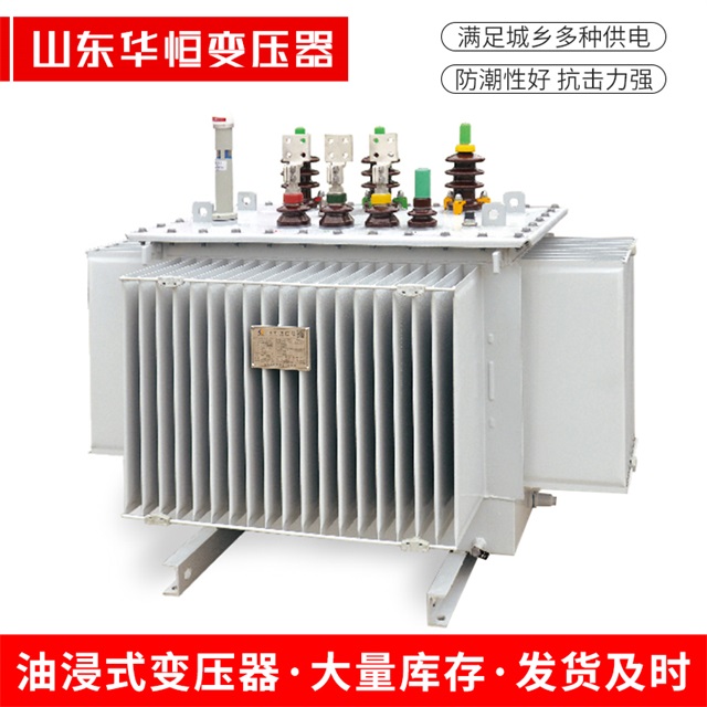 S13-10000/35成县成县成县电力变压器